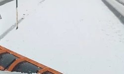 Karlıova'da kar yağışı (2)