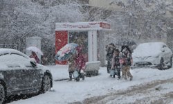 Karlıova'da kar yağışı