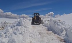 Kars'ta kardan kapanan köy yolları açılıyor