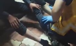 Kent merkezine inen yaban domuzu, 3 kişiyi yaraladı