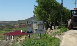 Kilis'te ahır çöktü; 40 koyun öldü