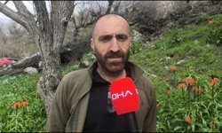 Koparmanın 700 bin lira cezasının olduğu 'ters lale' için Sason'a ziyaretçi akını