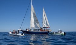 Küresel Sumud Filosu '2026 Bahar Misyonu' İtalya'dan yola çıktı