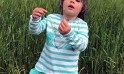 Leyla'nın ölümünde, duruşmalara katılmayan annesi zorla getirilecek