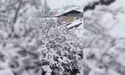 Malatya'da kar yağışı etkili oldu