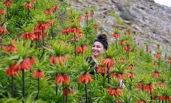 Muş'un zirveleri ters lalelerle renklendi