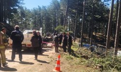 Ormanda kesilen ağaç, kamyonetin üzerine devrildi; 1 ölü, 2 yaralı