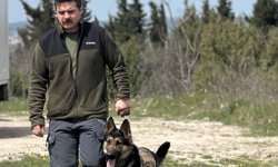 Ormanlara kurduğu fotokapanla yaban hayvanlarını görüntülüyor / Ek fotoğraflar