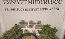 Pendik'te uyuşturucu operasyonu: 2 şüpheli tutuklandı