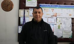 Sağanaklar sırasında yuvalarını su basan kör fareler yüzeye çıktı