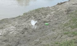 Sakarya Nehri'ne düşen çocuk için arama çalışması başlatıldı