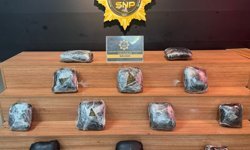 Şanlıurfa'da 8 kilo skunk ele geçirildi