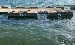 Serinlemek için girdiği gölde boğulma tehlikesi geçiren üniversiteli kurtarılamadı