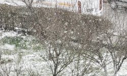 Sivas'ta kar yağışı