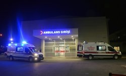 Tartıştığı karısını tabancayla başından vurup, öldürdü