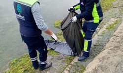 Tekirdağ'da ölü caretta caretta kıyıya vurdu