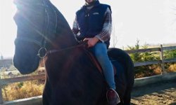 TIR'ın çarptığı otomobilin sürücüsü öldü; kaza kamerada / Ek fotoğraf