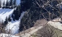 Trabzon'da çığ düşme anı kamerada