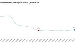 TÜİK: İnşaat maliyeti şubatta arttı