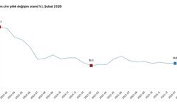 TÜİK: Sanayi, inşaat, ticaret ve hizmet sektörlerinde toplam ciro şubatta arttı