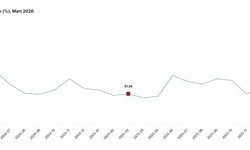 TÜİK: Tarım üretici fiyatları martta arttı