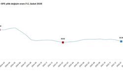 TÜİK: Tarımsal girdi fiyatları şubatta arttı