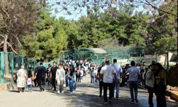 Türkiye'de doğan ilk zürafanın ismi anketle belli olacak