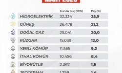 Türkiye'nin elektrik kurulu gücü 125 bin 78 megavata yükseldi