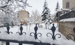 Van Başkale'de kar yağışı
