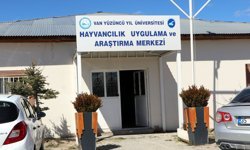 Van'da koruma altındaki Norduz koyunu doğumları başladı