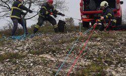 Yabani hayvandan korkup sarp kayalıkta mahsur kalan keçilere kurtarma operasyonu