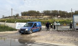 Yalova'da hayvan ölümleri iddialarına soruşturma