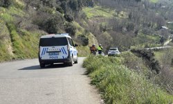 Yola çıkan kedi, kazaya neden oldu