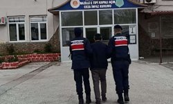 Zeytin bahçesindeki sera içerisinde 208 kök Hint keneviri ele geçirildi