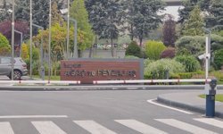 Ağaç ve Peyzaj A.Ş.'ye operasyon: 1 kişi daha gözaltına alındı