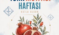 AK Parti'li Çelik: Türk mutfağı, yüzlerce yıllık mirası anlatıyor
