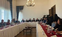 AK Parti'li Yayman: Dijital ağların toplumla yeni bir sözleşme yapması gerekmektedir
