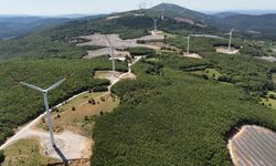 Akfen Yenilenebilir Enerji, karbon piyasalarındaki faaliyetlerini açıkladı