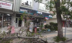 Ankara'da kuvvetli rüzgar; ağaçlar devrildi, araçlar zarar gördü
