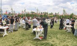 Ankara'da 'Uçurtma Şenliği' düzenlendi