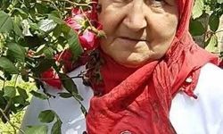 Annesini toprağa verdikten bir gün sonra kalp krizi geçirip öldü