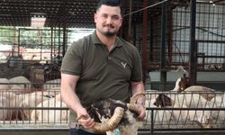 Antalya'da kurbanlık satışında hareketlilik