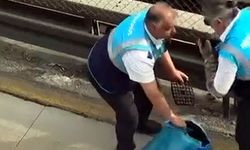 Avcılar'da metrobüs yolundaki bariyerlere giren kedi kurtarıldı / Ek görüntü