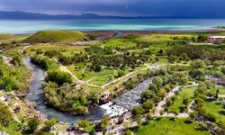 Balık göçünü bayram tatilinde 40 bin kişi izledi
