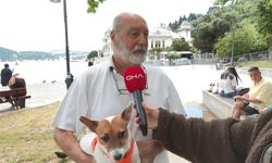 Bebek Sahili'nde denize girip yürüyüş yaptılar; 'İstanbul böyle daha güzel'