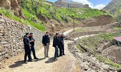Beytüşşebap'ta dereler taştı; köprüler yıkıldı, araçlar suya kapıldı (2)