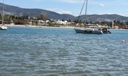 'Bodrum'da 2004 yılından beri bin ila 2 bin hektarlık bir alanda deniz çayırı kaybı var'