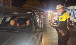 Bodrum'da bayram hareketliliği; polis ekiplerinden ilçe girişinde denetim