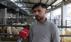 Bursa'da 5 boynuzlu kuzu, 30 bin liraya alıcısını bekliyor