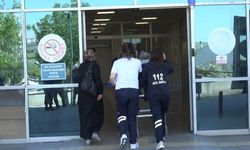 Çorum'da acemi kasaplar hastanelik oldu